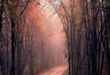 开云APP-苍穹惊雷！库里三分暴雨浇灭宿敌，甲骨文遗魂今夜借体重生