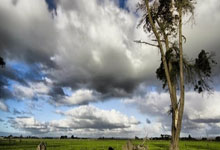 开云体育入口-曼城险胜拜仁，梅西关键助攻中超：跨界体育营销的新潮流