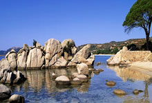 开云官网-绿金风暴席卷潘帕斯！阿根廷欧冠梦碎夜，B组乱局生死簿开启