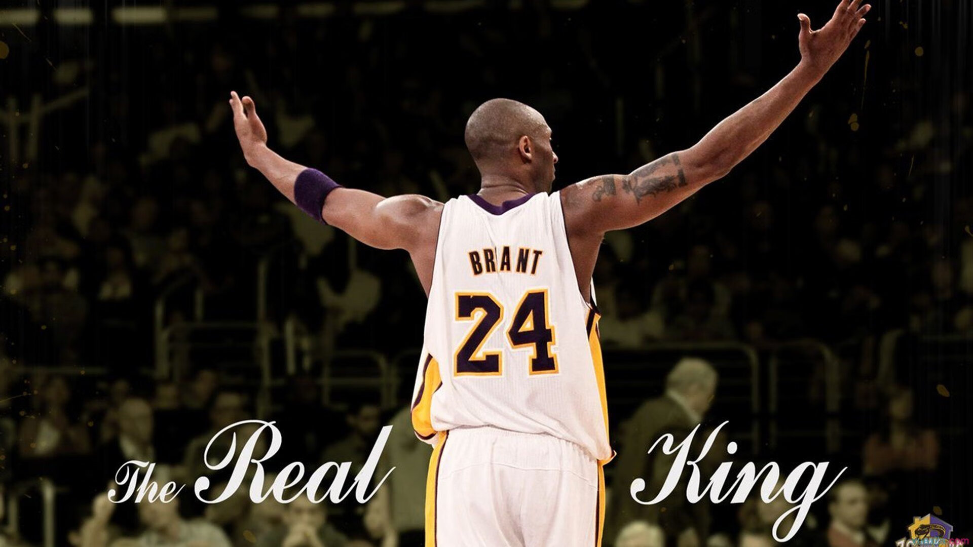 爱德华兹关键回合一锤定音，广东队战术制霸终结北京队连胜