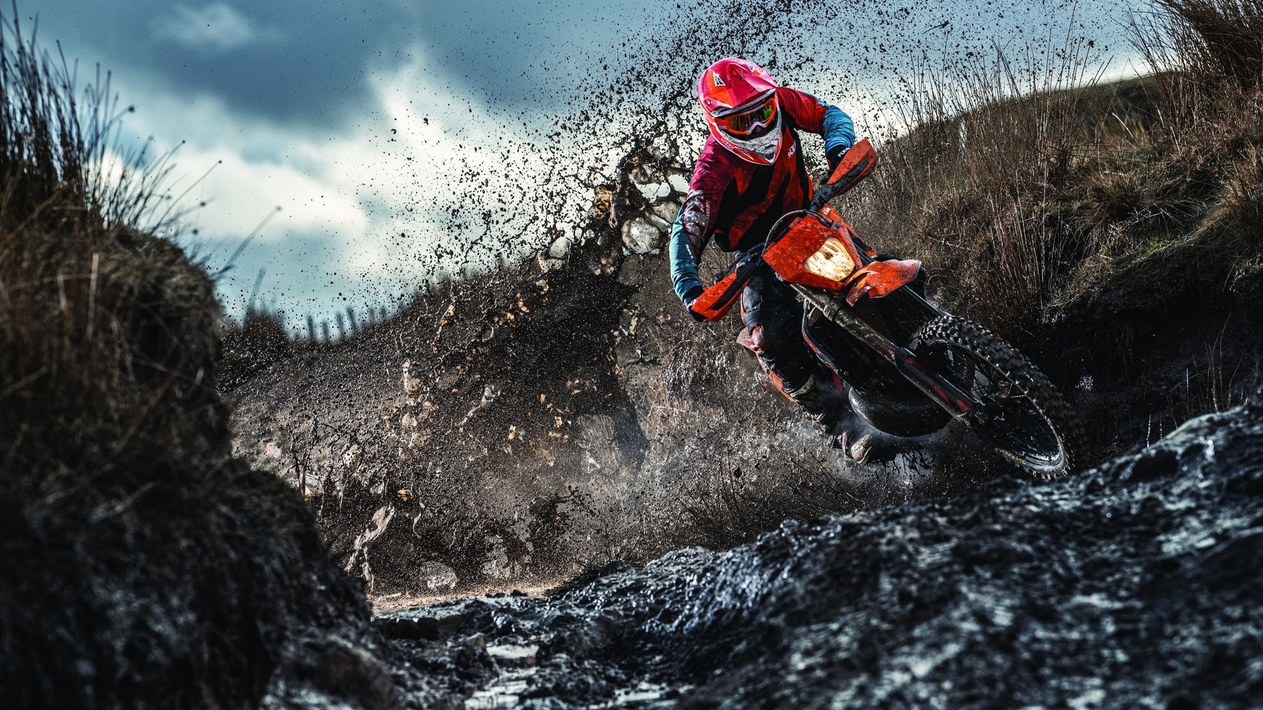 双城记,浓眉德甲封神夜,华南虎险境啸山林